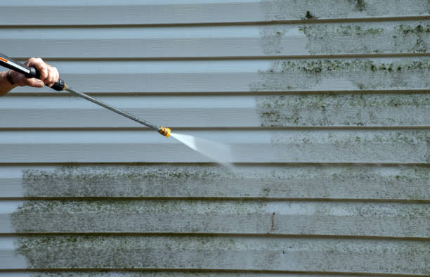 Best Residential Pressure Washing Services  in Mcclure, PA